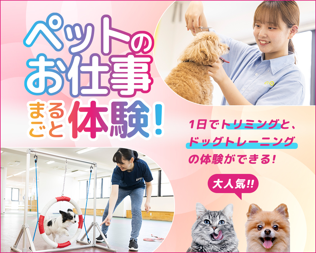 ペットのお仕事まるごと体験／大阪ＥＣＯ動物海洋専門学校