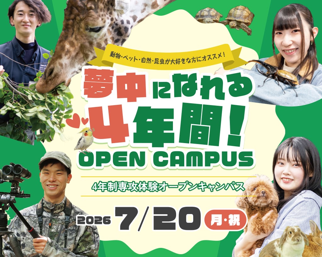 夢中になれる４年間！オープンキャンパス（インセクトブリーダー体験）／大阪ＥＣＯ動物海洋専門学校