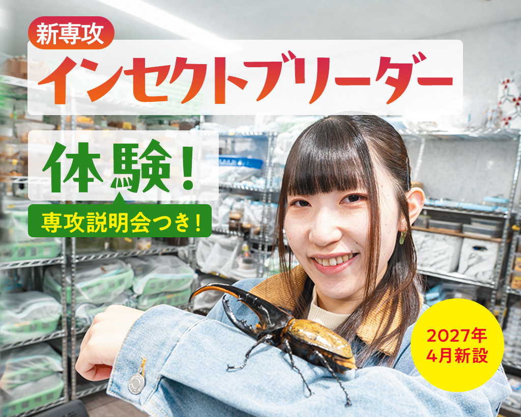 新専攻 インセクトブリーダー体験（専攻説明会つき）／大阪ＥＣＯ動物海洋専門学校