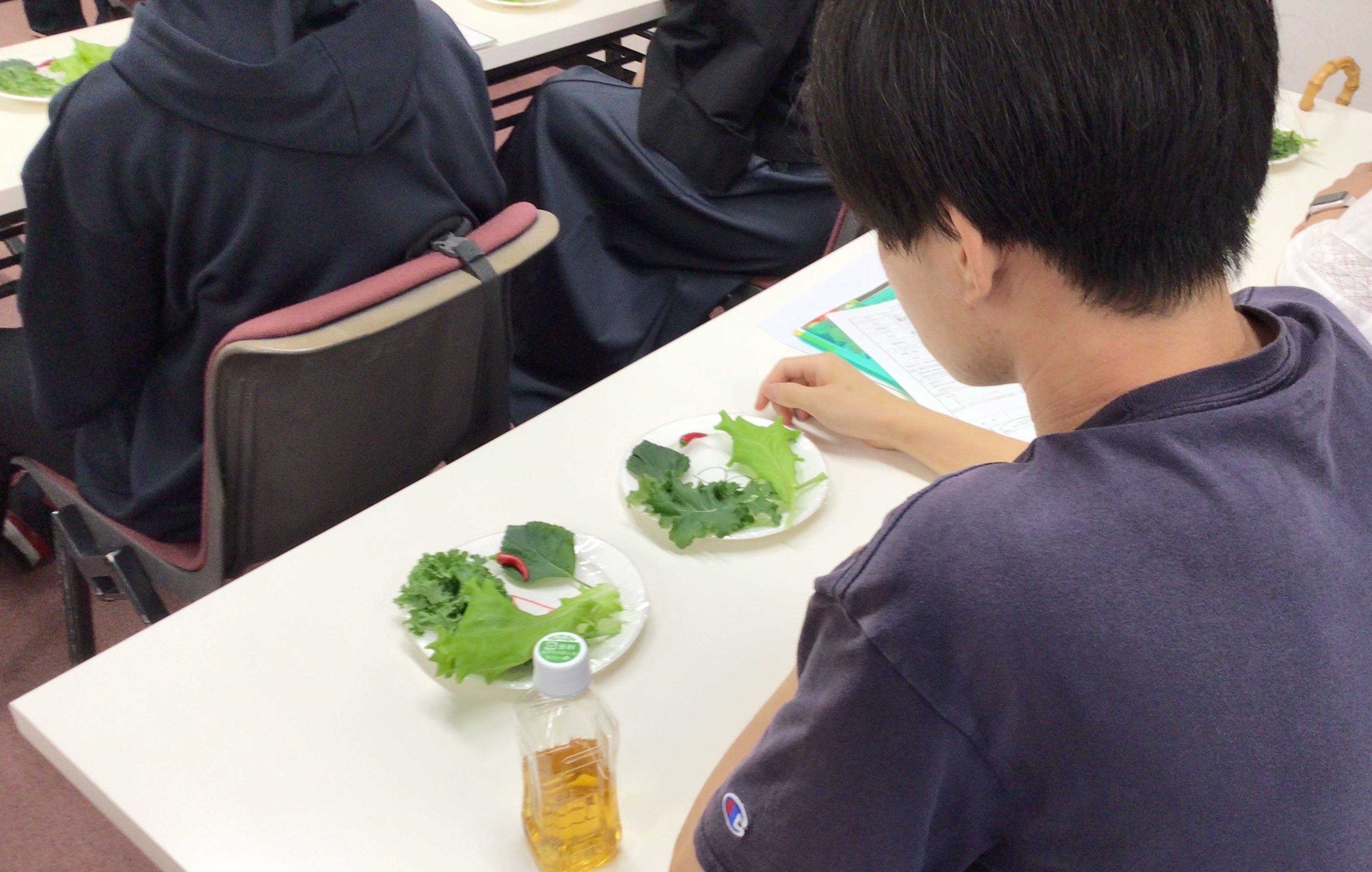 水耕やさい試食体験／愛甲農業科学専門学校