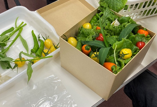 愛甲農業科学専門学校