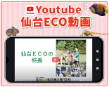 動画で仙台ECOについて知ろう！／仙台ＥＣＯ動物海洋専門学校