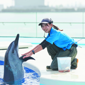 イルカの生態やトレーニングについて学ぶ！ドルフィントレーナー体験！／仙台ＥＣＯ動物海洋専門学校