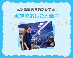 元水族館飼育員から学ぶ！
水族館おしごと講座！／仙台ＥＣＯ動物海洋専門学校