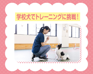 学校犬でトレーニングに挑戦！／仙台ＥＣＯ動物海洋専門学校