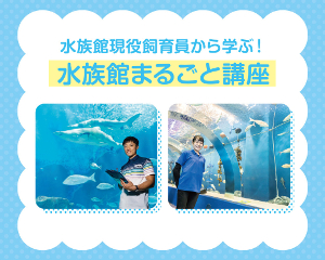 水族館まるごと講座／仙台ＥＣＯ動物海洋専門学校