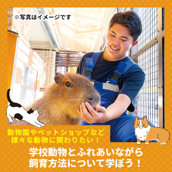 学校動物とふれあいながら飼育方法について学ぼう！／仙台ＥＣＯ動物海洋専門学校