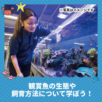 観賞魚の生態や飼育方法について学ぼう！／仙台ＥＣＯ動物海洋専門学校