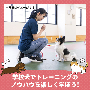 学校犬でトレーニングのノウハウを楽しく学ぼう！／仙台ＥＣＯ動物海洋専門学校