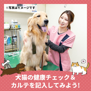 犬猫の健康チェック＆カルテを記入してみよう！／仙台ＥＣＯ動物海洋専門学校