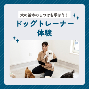 ドッグトレーナー体験／仙台ＥＣＯ動物海洋専門学校