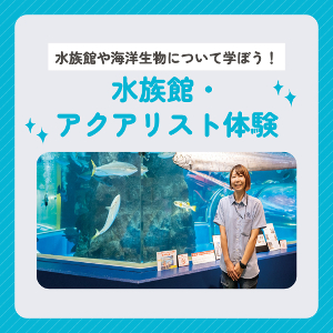 水族館・アクアリスト体験／仙台ＥＣＯ動物海洋専門学校
