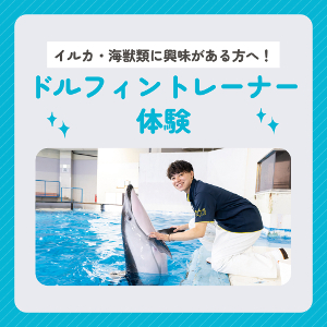 ドルフィントレーナー体験／仙台ＥＣＯ動物海洋専門学校