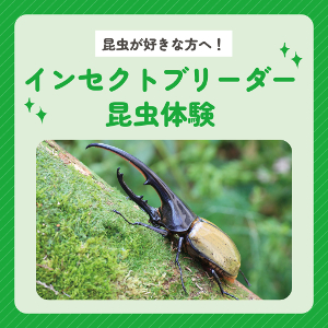 インセクトブリーダー・昆虫体験／仙台ＥＣＯ動物海洋専門学校