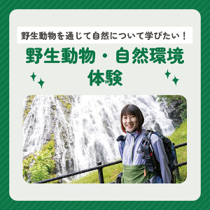 野生動物・自然環境保護体験／仙台ＥＣＯ動物海洋専門学校