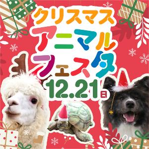 今年最後のオープンキャンパス
クリスマスアニマルフェスタ／仙台ＥＣＯ動物海洋専門学校