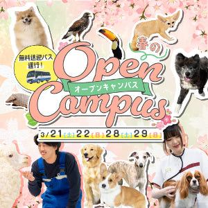 仙台ECO動物海洋専門学校