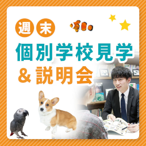 仙台ＥＣＯ動物海洋専門学校
