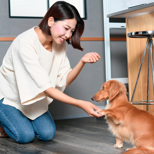 愛知ペット専門学校