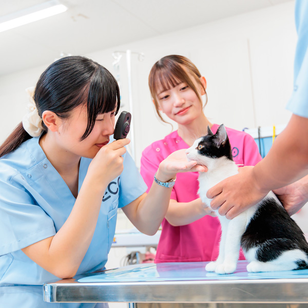 名古屋ＥＣＯ動物海洋専門学校