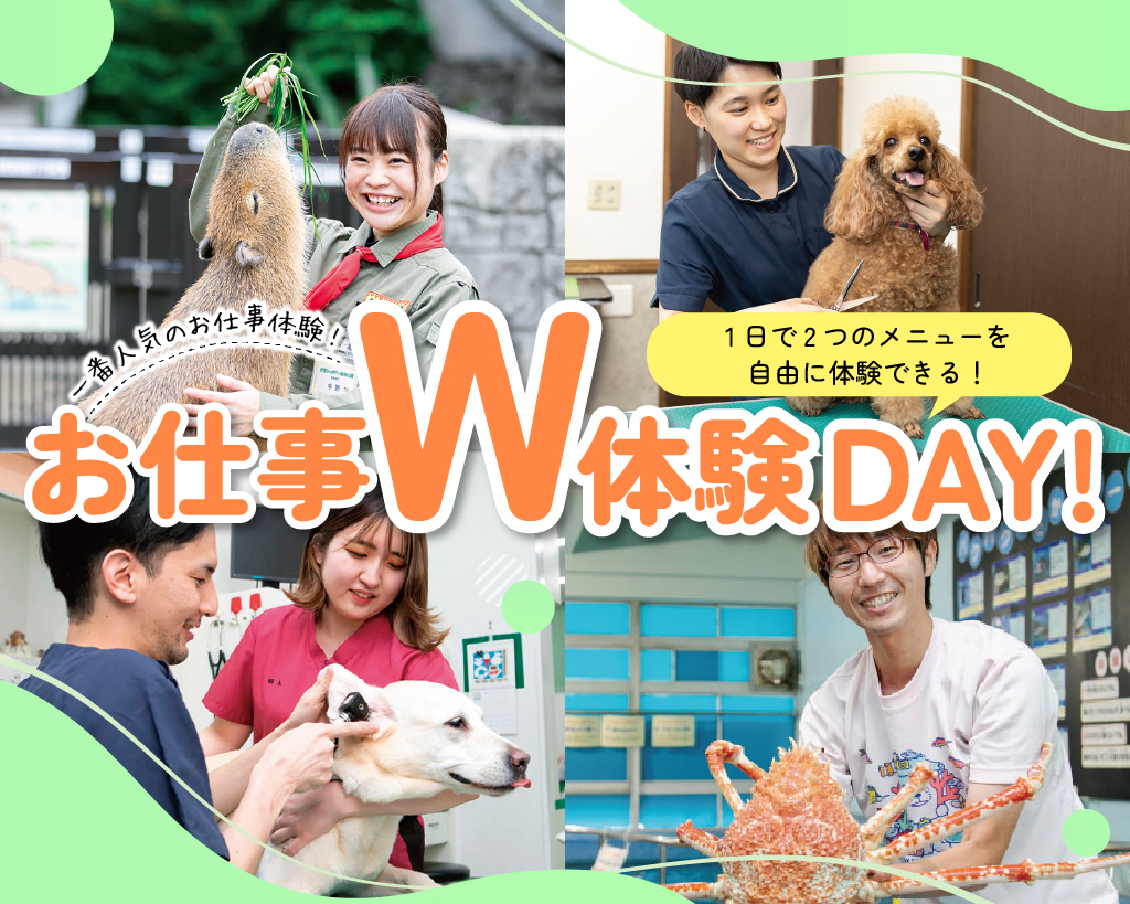 名古屋ＥＣＯ動物海洋専門学校