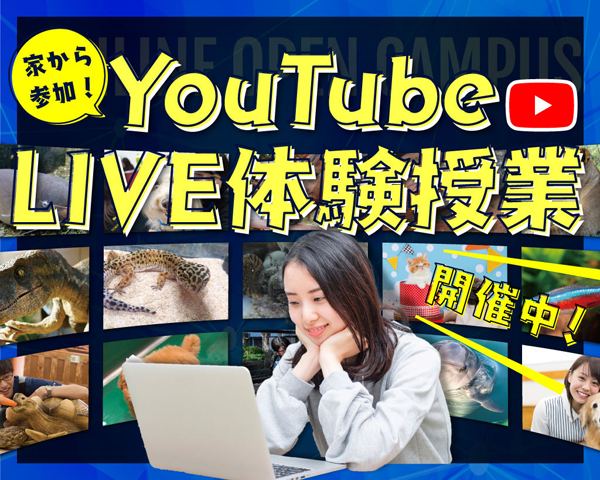 YouTube LIVE 体験授業／ＴＣＡ東京ＥＣＯ動物海洋専門学校