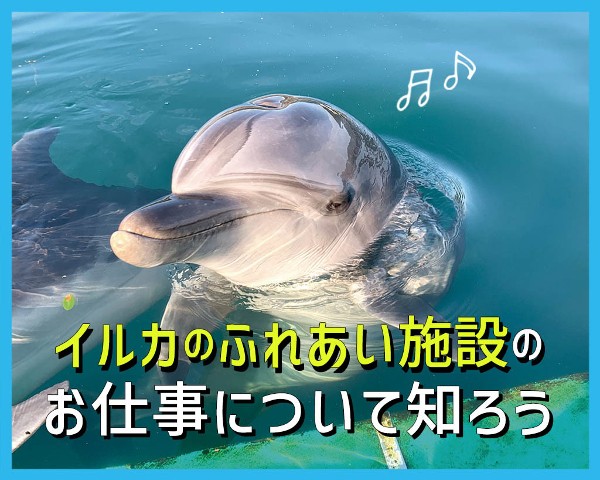 ＴＣＡ東京ＥＣＯ動物海洋専門学校