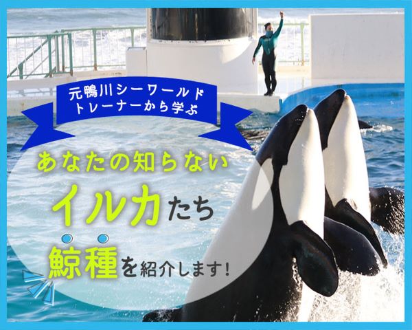 ＴＣＡ東京ＥＣＯ動物海洋専門学校