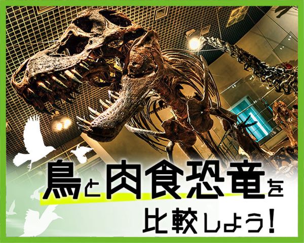 鳥と肉食恐竜を比較しよう！／ＴＣＡ東京ＥＣＯ動物海洋専門学校