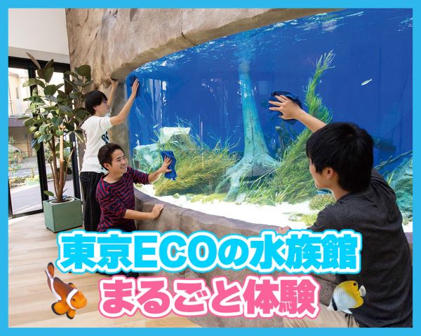 東京ECOの水族館まるごと体験／ＴＣＡ東京ＥＣＯ動物海洋専門学校