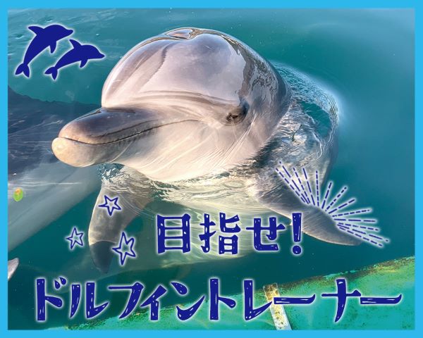 目指せ！ドルフィントレーナー／ＴＣＡ東京ＥＣＯ動物海洋専門学校