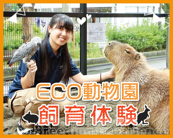 ECO動物園飼育体験／ＴＣＡ東京ＥＣＯ動物海洋専門学校