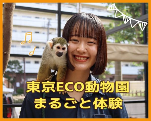 東京ECO動物園まるごと体験／ＴＣＡ東京ＥＣＯ動物海洋専門学校