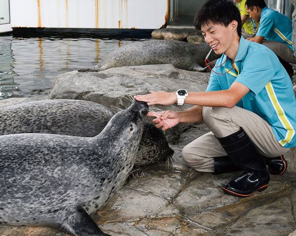アシカ・アザラシのトレーニングについて教えてもらおう／ＴＣＡ東京ＥＣＯ動物海洋専門学校