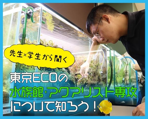 先生×学生から聞く 東京ECOの水族館・アクアリスト専攻について知ろう！／ＴＣＡ東京ＥＣＯ動物海洋専門学校