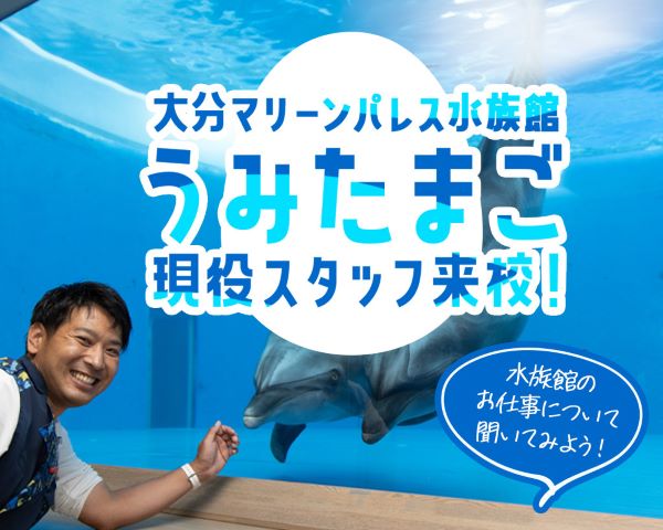 水族館のお仕事について聞いてみよう！／ＴＣＡ東京ＥＣＯ動物海洋専門学校