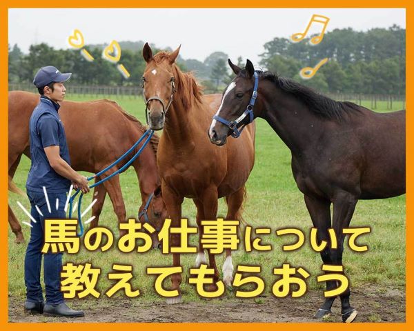 馬のお仕事について教えてもらおう／ＴＣＡ東京ＥＣＯ動物海洋専門学校