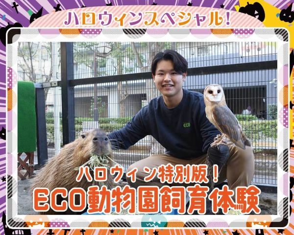 ハロウィン特別版！ECO動物園飼育体験／ＴＣＡ東京ＥＣＯ動物海洋専門学校