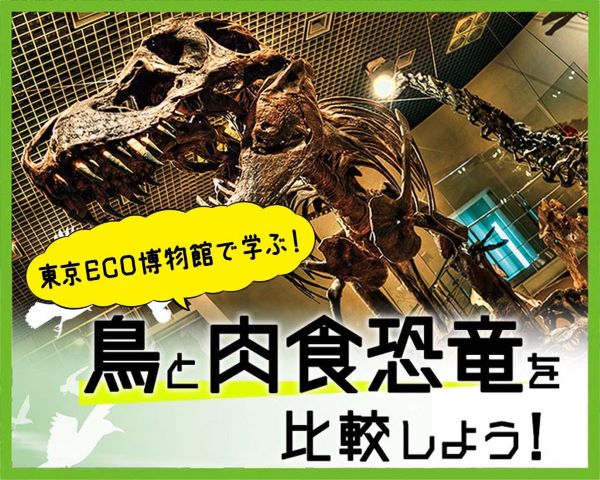 鳥と肉食恐竜を比較しよう！／ＴＣＡ東京ＥＣＯ動物海洋専門学校