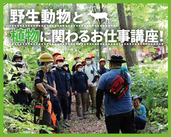 野生動物と植物に関わるお仕事講座！／ＴＣＡ東京ＥＣＯ動物海洋専門学校