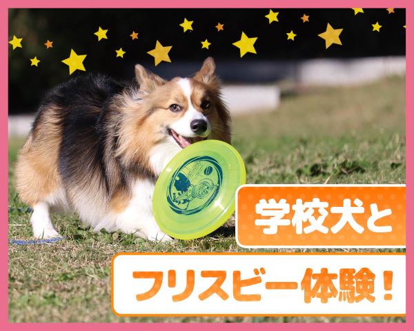 学校犬とフリスビー体験！／ＴＣＡ東京ＥＣＯ動物海洋専門学校