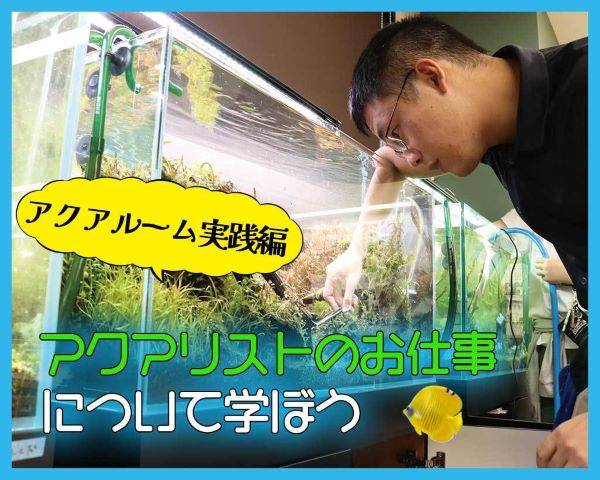 アクアリストのお仕事～アクアルーム実践編～／ＴＣＡ東京ＥＣＯ動物海洋専門学校
