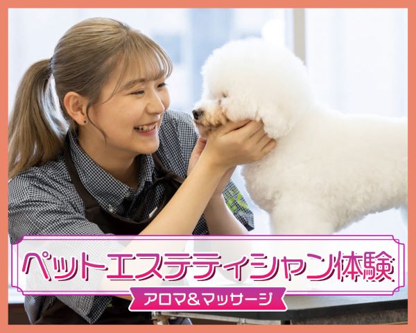 ペットエステティシャン体験（アロマ＆マッサージ）／ＴＣＡ東京ＥＣＯ動物海洋専門学校