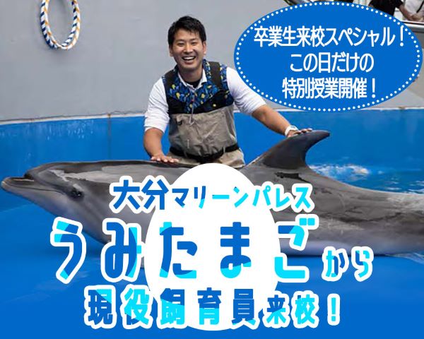 大分マリーンパレス「うみたまご」から現役飼育員来校！／ＴＣＡ東京ＥＣＯ動物海洋専門学校