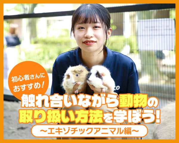 触れ合いながら動物の取り扱い方法を学ぼう！～エキゾチックアニマル編～／ＴＣＡ東京ＥＣＯ動物海洋専門学校