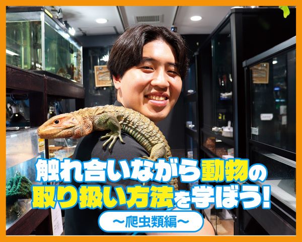 触れ合いながら動物の取り扱い方法を学ぼう！～爬虫類編～／ＴＣＡ東京ＥＣＯ動物海洋専門学校