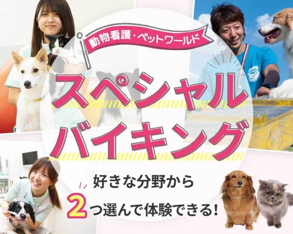 動物看護・ペットワールドスペシャルバイキング／ＴＣＡ東京ＥＣＯ動物海洋専門学校