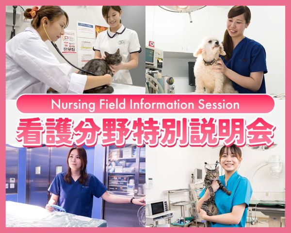 看護分野特別説明会／ＴＣＡ東京ＥＣＯ動物海洋専門学校