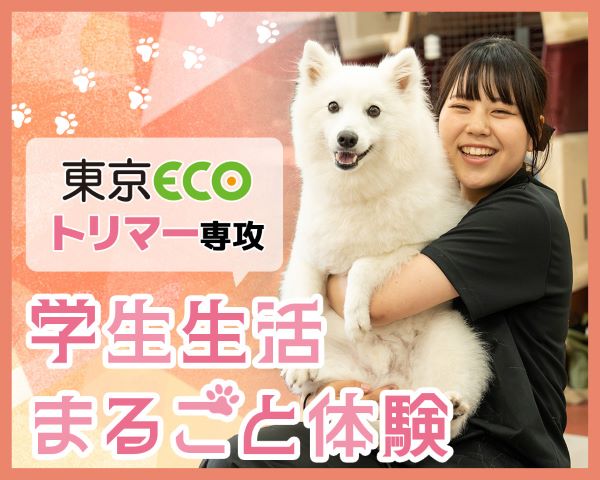 東京ECOトリマー専攻学生生活まるごと体験／ＴＣＡ東京ＥＣＯ動物海洋専門学校