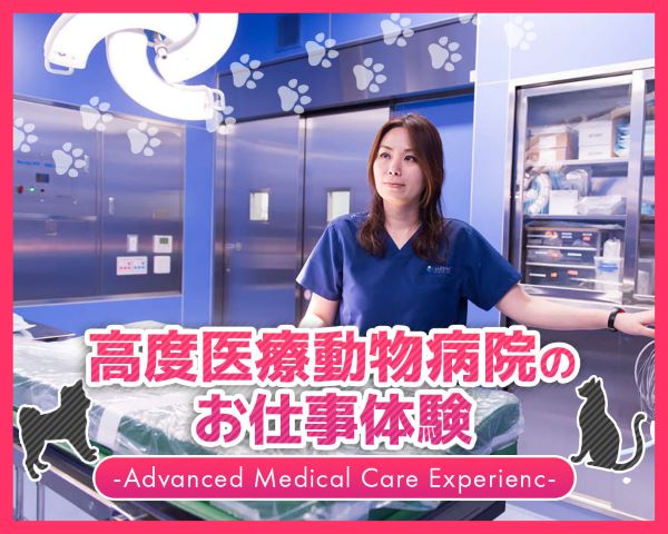 高度医療動物病院のお仕事体験／ＴＣＡ東京ＥＣＯ動物海洋専門学校